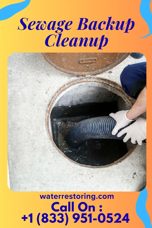 Sewage Backup Cleanup in Brooksburg, IN